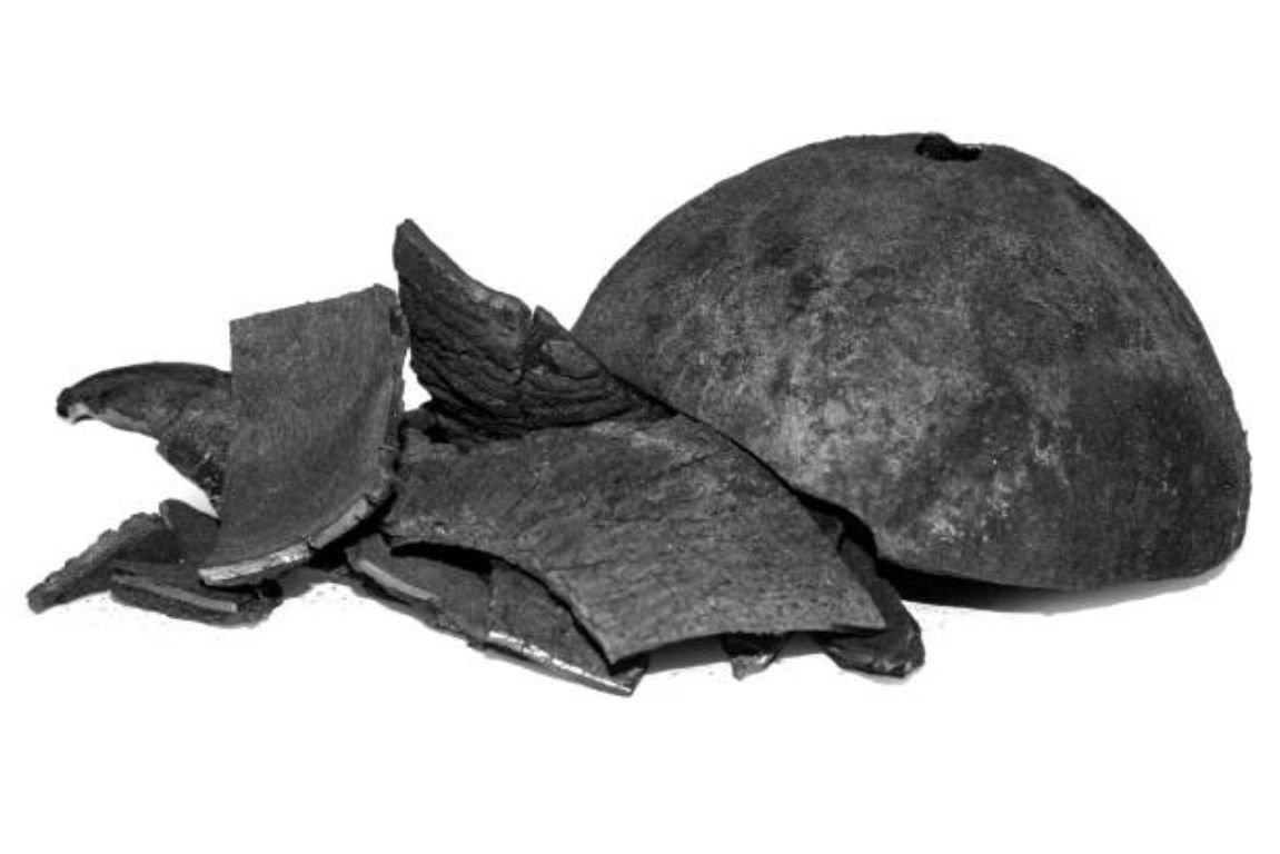 Coconut Shell Charcoal